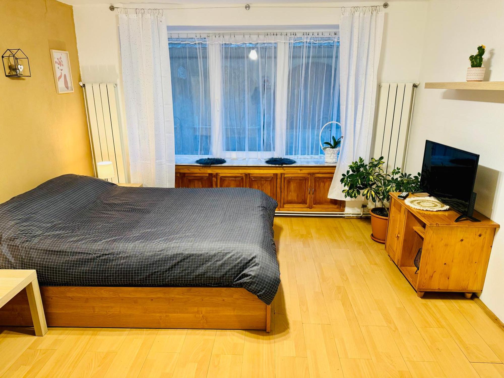 Studio Luca Sibiu Luaran gambar